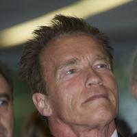Arnold Schwarzenegger attends the Arnold Classic Europe 2011 party | Picture 97476